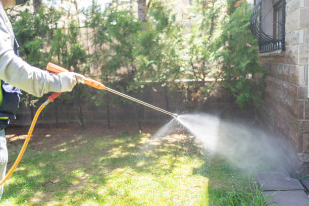 Best Pest Exclusion Services  in Trenton, MI